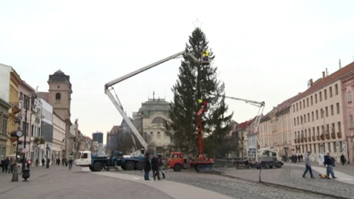 Stromček po osadení dosahuje výšku 19 metrov