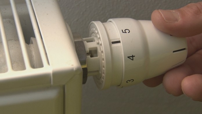 zakutia baziliky_tvnoviny.mp4