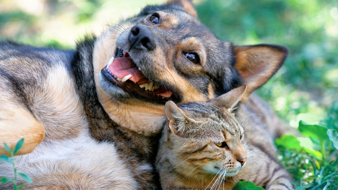 Ilustračná snímka.