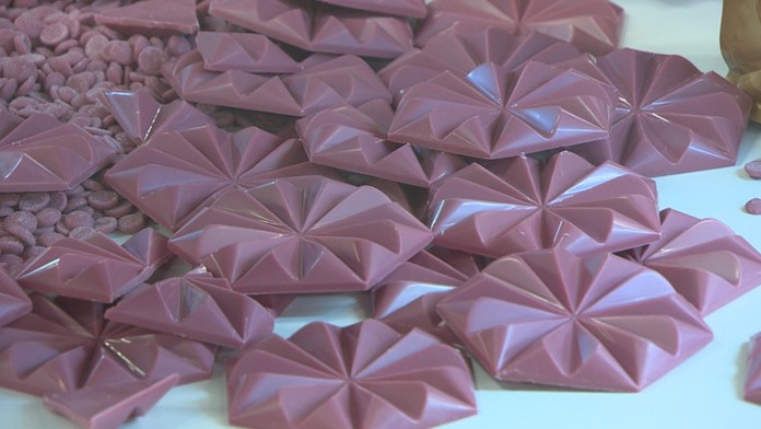 1_hlava_gastro_tvnoviny.mp4