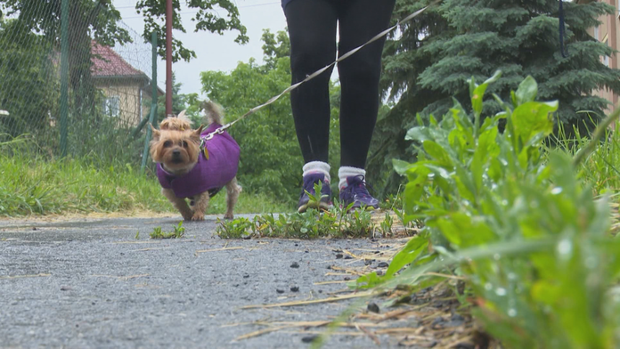 Tomáš Bendík a Ján Tribula.