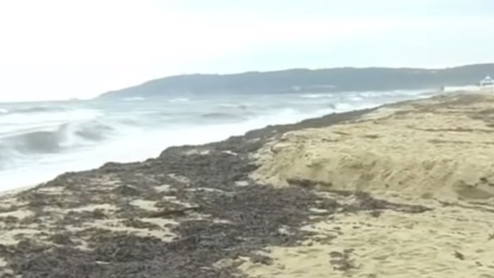 Pláž v letovisku Saint-Tropez znečistená naftou.