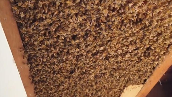 17_JANIKOVA_tvnoviny.mp4