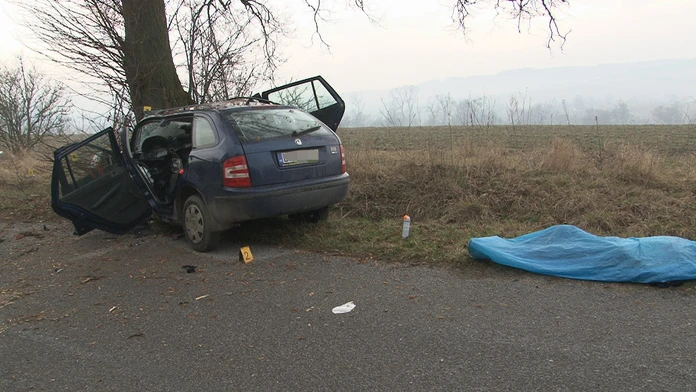 Auto narazilo do stromu
