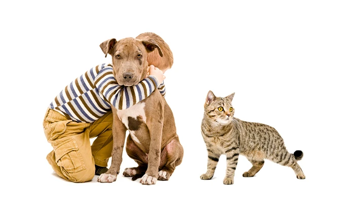 shutterstock_367609610.jpg