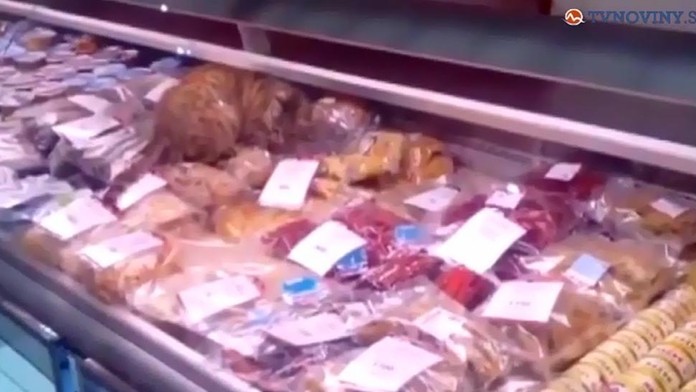 Mačka si pochutnava na rybach vo vyklade.