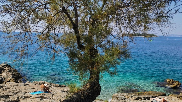 Kŕdle malých mušiek zamorili pobrežie Chorvátska