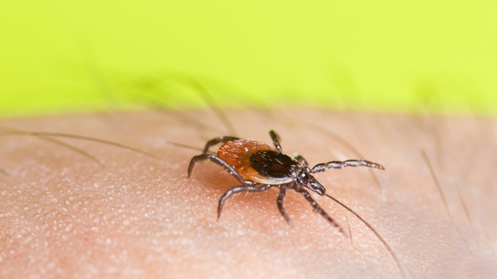 Ilustračná snímka.