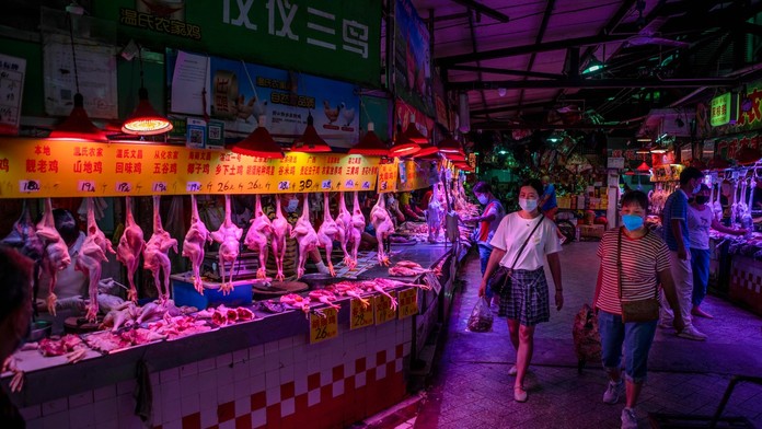 Vedci prišli s doteraz najsilnejším dôkazom o tom, že pandémiu koronavírusu spustilo zviera