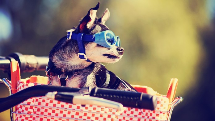 shutterstock_320826779.jpg
