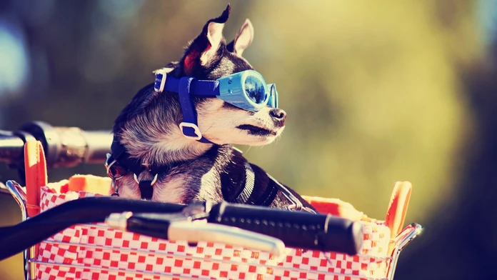 shutterstock_320826779.jpg