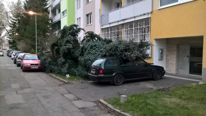 Spadnutý stom na Mesačnej ulici v Bratislave.
