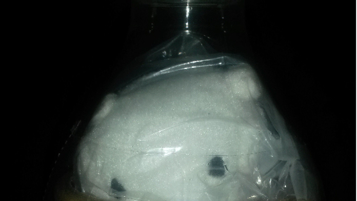 titulka kola.png