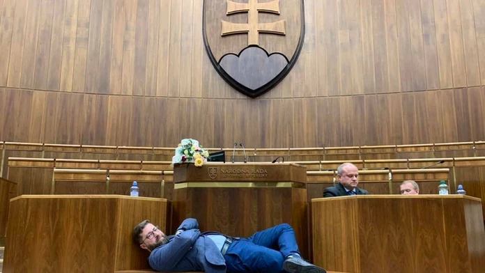Dve krabice plné šteniat neapolského mastiffa. 