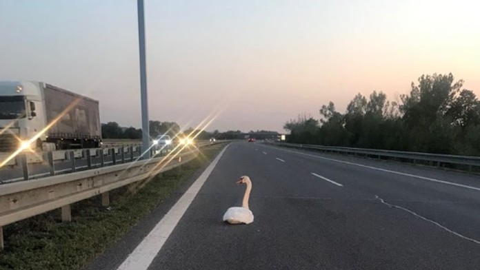 Zrútená časť útesu v Kalifornii