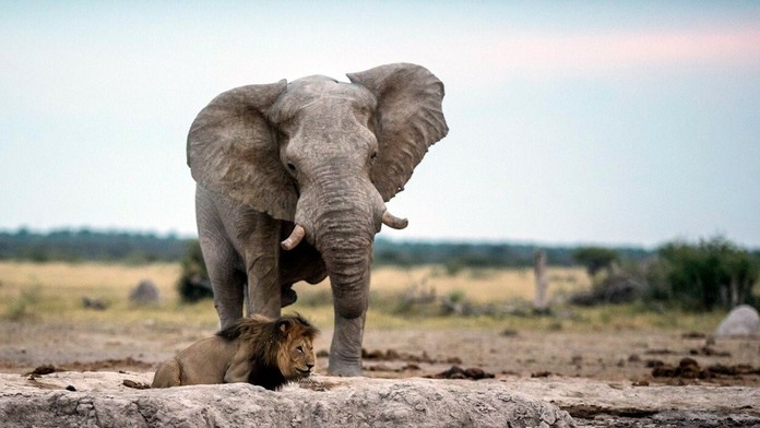 1204_Kamenak_12_04_P20_Pi_20_30.mp4