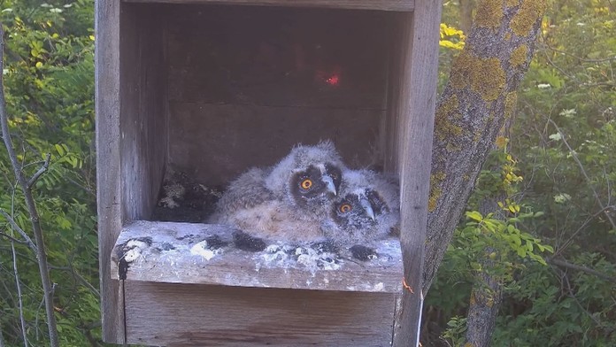 Falošný vodár okradol dôchodkyňu.