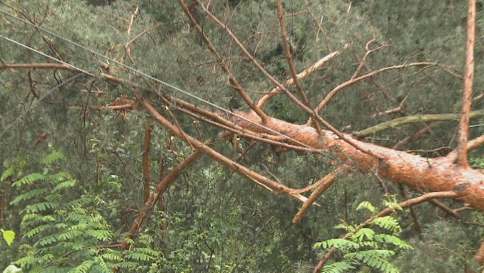 Ilustračná snímka.