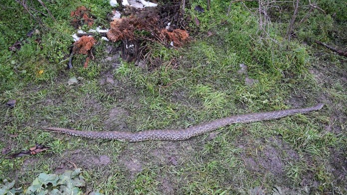 Teroristický útok v Kábule.