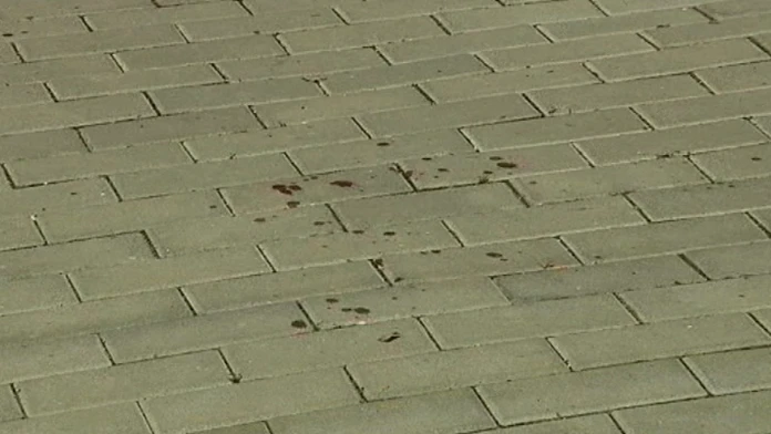 17 PN Vrazda Moravany.transferweb_jpg_bez_watermarku_1.jpg