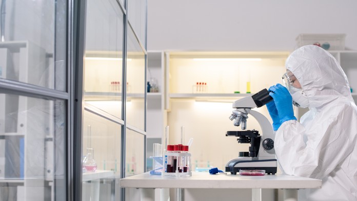 Severovýchodne od Paríža zistili vtáčiu chrípku. Ide o vysoko patogénny variant