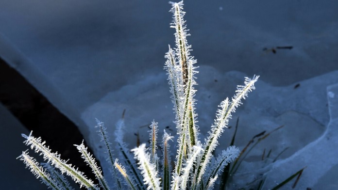 Hráči Gentu oslavujú triumf v EL na pôde Saint-Étienne.