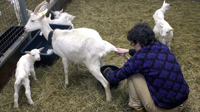 Ilustračná snímka.