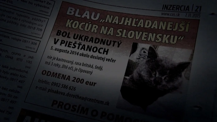 Kocúr Blau.