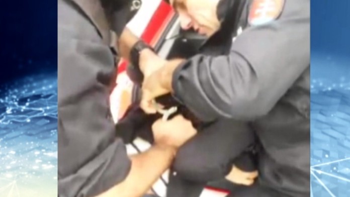 Zábery zo zákroku. 