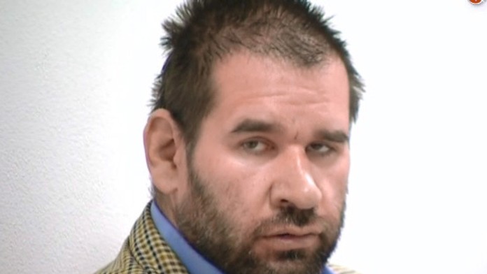 zoltan.jpg