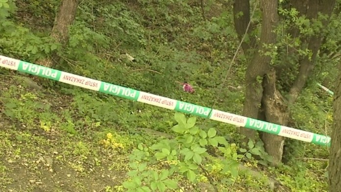 II  0016_01.AVIweb_jpg_bez_watermarku_1.jpg