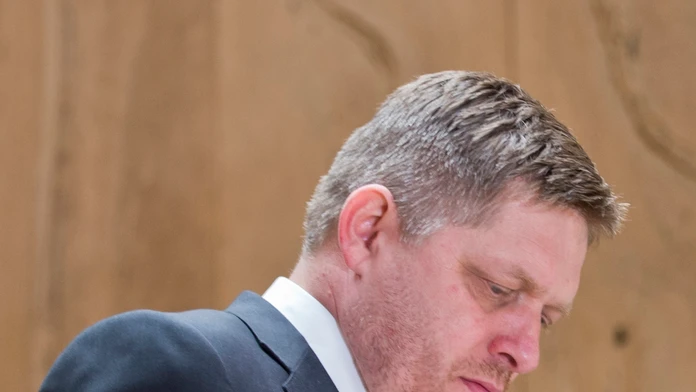 Fico_brada.jpg