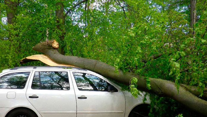 Na Jankovom vŕšku spadol na auto strom.