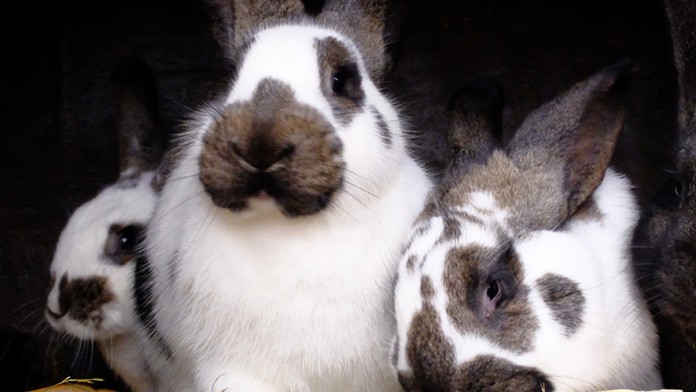 Reflex - vo štvrtok, 9. novembra, o 17.25!