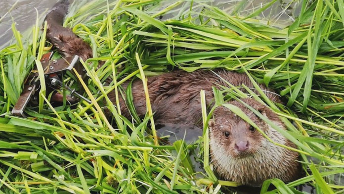 Matúš Sukeľ strieľa gól Francúzom na MS 2019, uprostred sa prizerá Thomas Thiry a vpravo Florian Hardy.