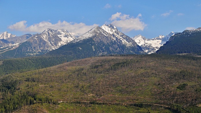 Tatry po víchrici