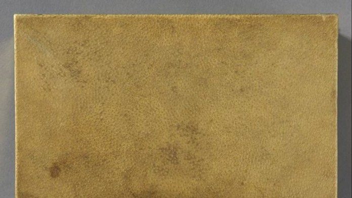 human_skin_book.jpg