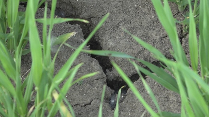 Predčasné leto robí problémy.