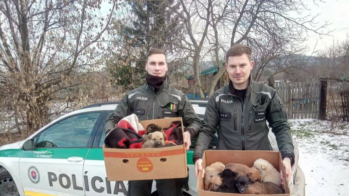 Jedenásť zachránených šteniatok.