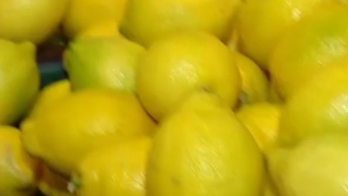 Citrón