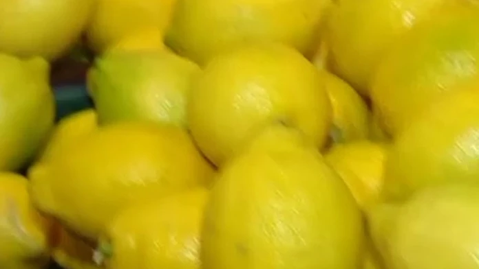 Citrón