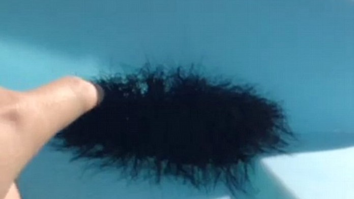 Čo sa skrýva v tomto chumáči?