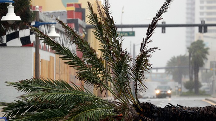 Vyvrátená palma blokuje cestu po príchode hurikánu Matthew v Daytona Beach na Floride. 