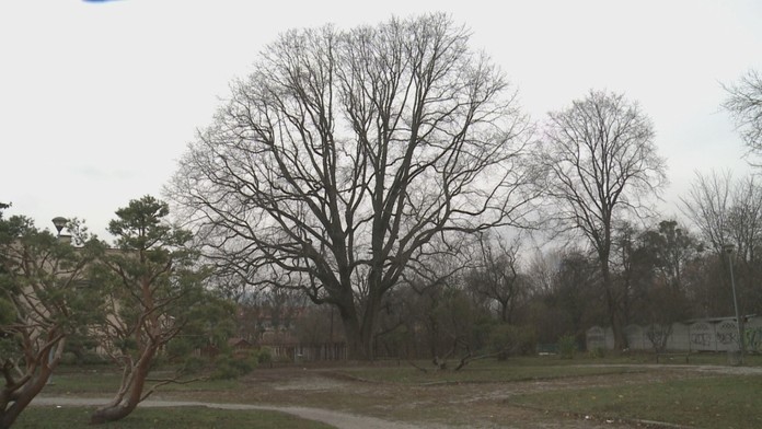 Ilustračná snímka.