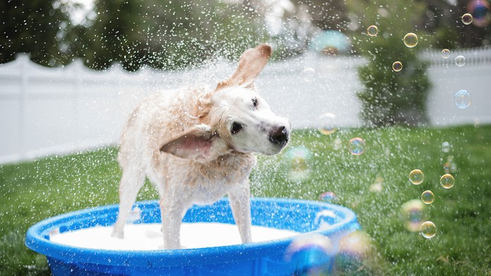 Alena Zsuzsová na pojednávaní v prípade vraždy Jána Kuciaka a Martiny Kušnírovej.