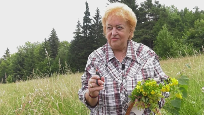 Edita Gabajová.
