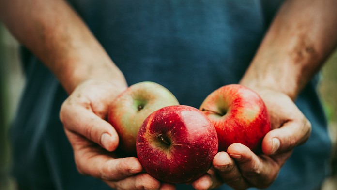 AUQQFZKFMZCL-high_1080p.mp4