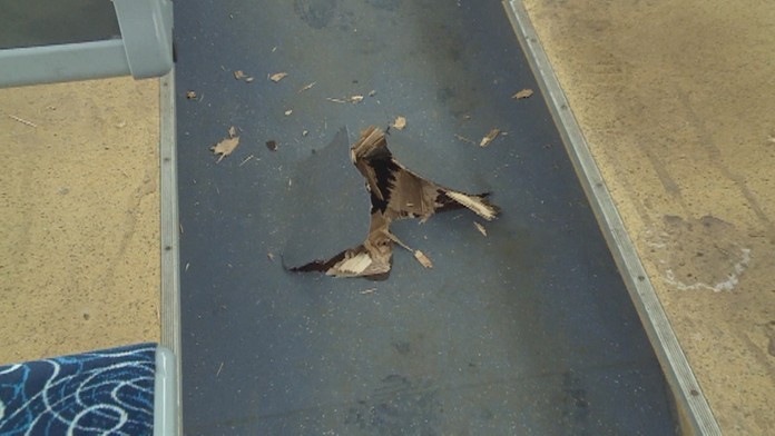 filipinec_tvnoviny.mp4