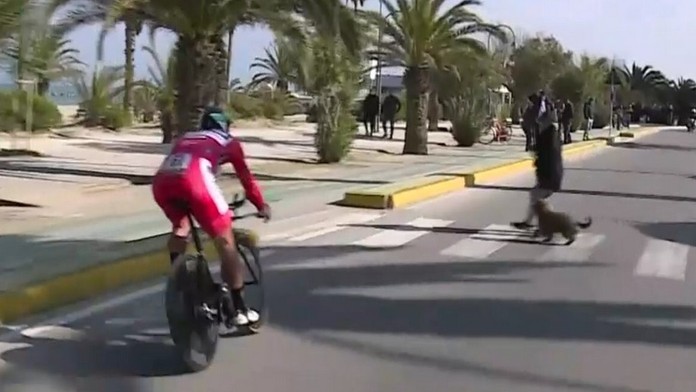 Sagan musel uhýbať pred ženou, ktorá bola na prechádzke so psom.