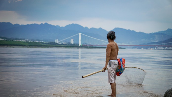 Dve z najväčších sladkovodných rýb sveta oficiálne vyhynuli